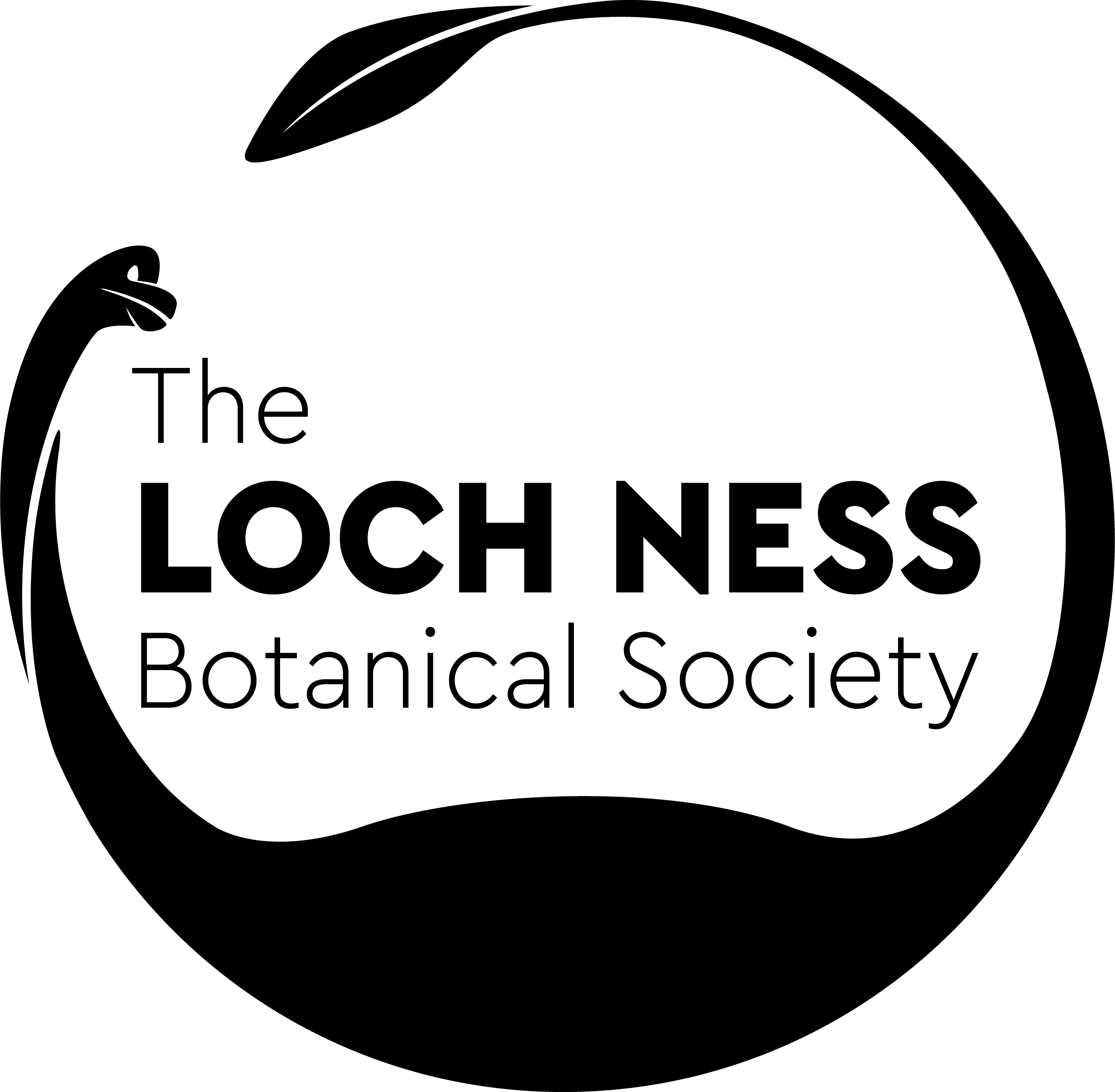 TLN